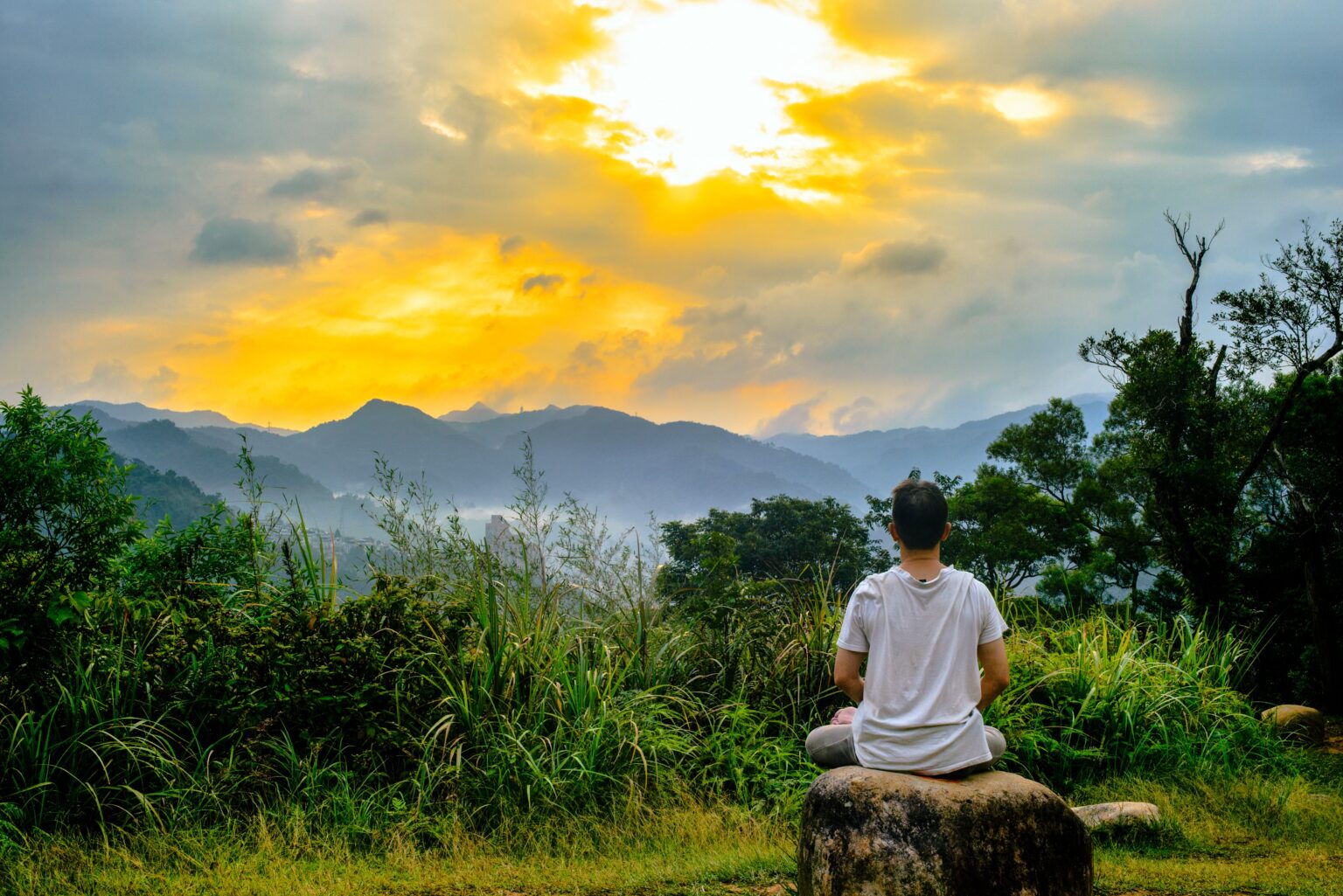 ¿Qué Es La Conciencia Plena O Mindfulness? | Fundación Delos